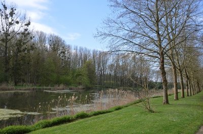 Etang de Pithiviers-le-vieil
