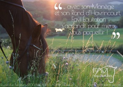 Favi Equitation
