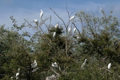Parc naturel départemental de Sully-sur-Loire