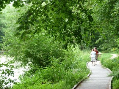 Parc naturel départemental de Châteauneuf-sur-Loire