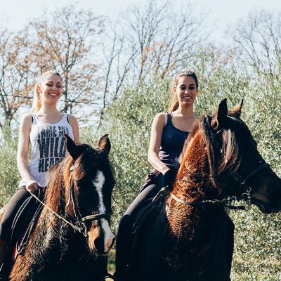 Centre équestre Les Crins de Gaïa