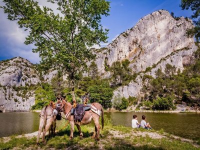 Ton personal trainer