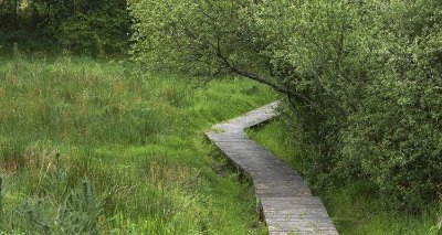 Tourbière du Mougau