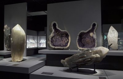 Museum d'histoire naturelle