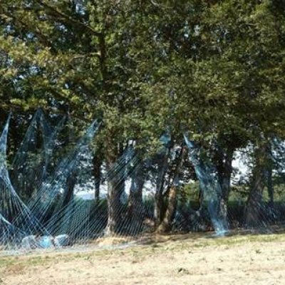 Sentier pédestre : sens et découverte des animaux de la ferme
