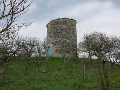 Église Saint-Martin d'Arces