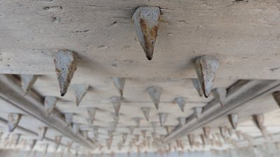 Saint-Antoine-l'Abbaye