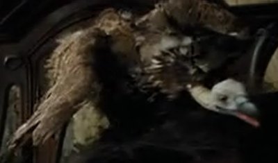 La balade du plan d'eau