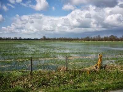 MARAIS DE LOIRE