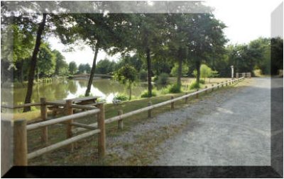 ÉTANG DE LA MARTELIÈRE