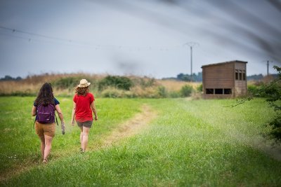 L'observatoire ornithologique