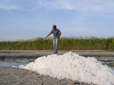 Visite pédagogique d'une saline