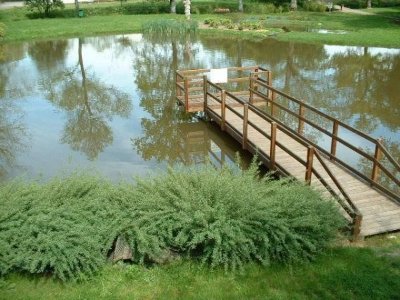 PLAN D'EAU DU GRAND FAY