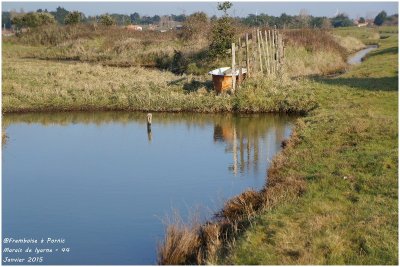 Le marais de Lyarne