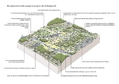 LE SILLON DE BRETAGNE
