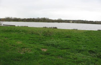 Les étangs de Bourgneuf-en-Retz