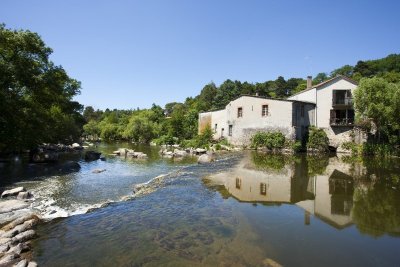 Vallée de la Sèvre à Boussay