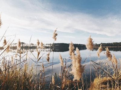 PARCOURS THÉMATIQUE