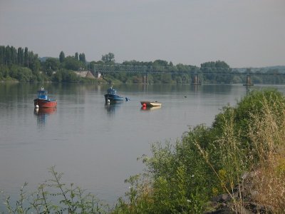 La Loire à Saint-Julien-De-Concelles