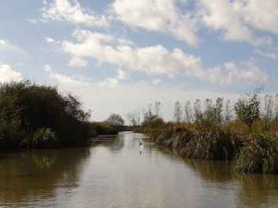 Le canal de Haute-Perche