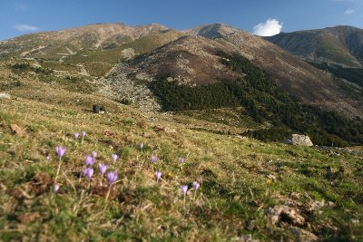 RESERVE NATURELLE DE PRATS DE MOLLO LA PRESTE