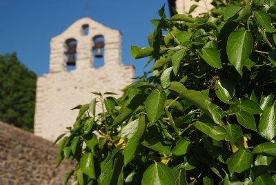 VALLEE DE VALCEBOLLERE