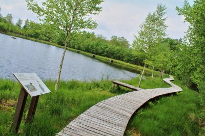 Étang de la Pierrache