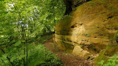 Espace naturel sensible de ranzey