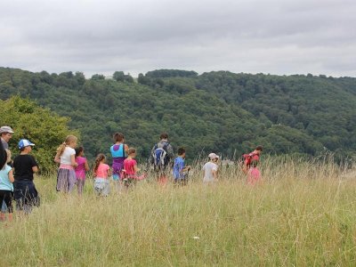 Le plateau d'Algrange