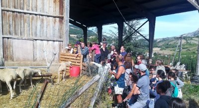 Aire de pique-nique de La Cresse