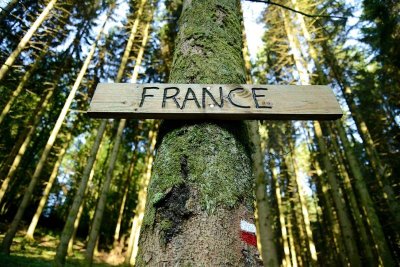 Foret Domaniale de Sedan, de France en Belgique... Au delà des frontières