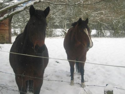 Église Notre Dame de Liart