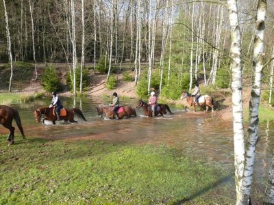 Ferme équestre de la Chenaie