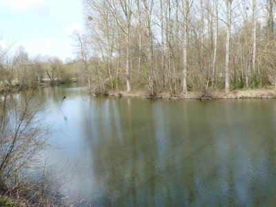 Étang d'Houdilcourt