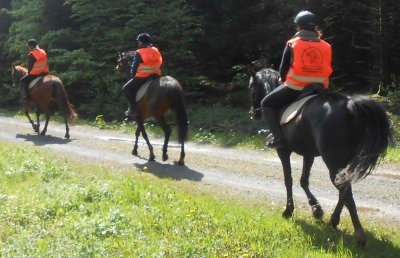 Ferme Equestre de la Croix Colas - Balades à cheval