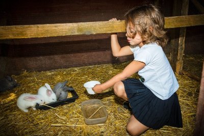 FERME DE DECOUVERTE SAINT-ANDRE