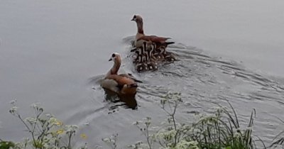 Espace naturel sensible du plain