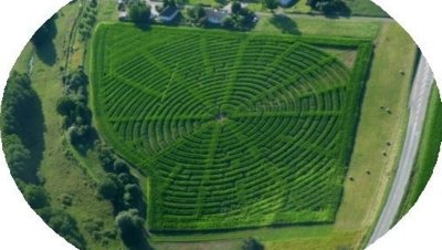 Labyrinthe de maïs