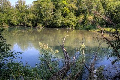 Sentier des lônes et îles du Haut-Rhône