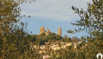 La balade des agrumes