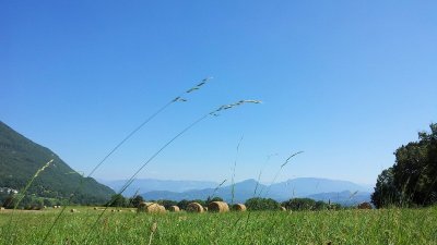 Sentier nature de Parnaux