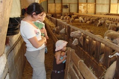 La Ferme des Vézinies
