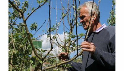 Verger Conservatoire de la Vallee de la Loire