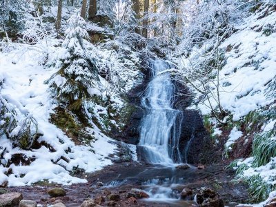 Le saut de la bourrique