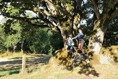 Jardin des Chirons - Rocher Branlant