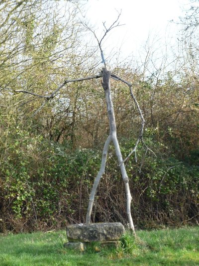 Marais de Saint-Georges-de-Rex et d’Amuré