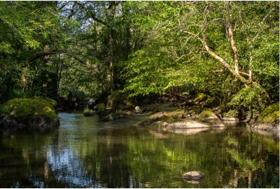 Etang du Bois Pouvreau