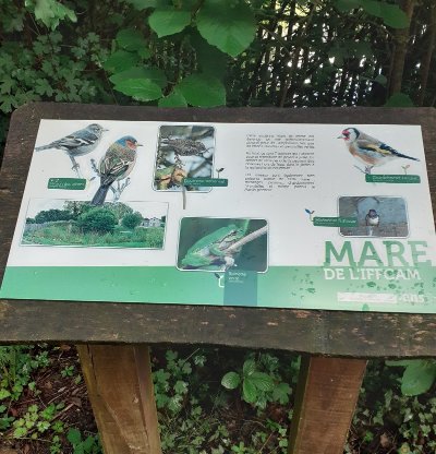 La Grimaudière - IFFCAM