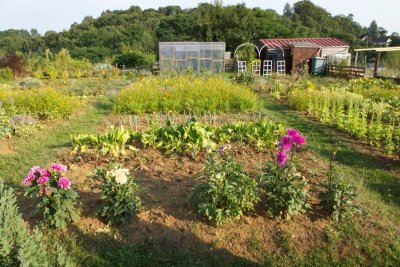 Les Jardins Familiaux de Sedan (depuis 1889)