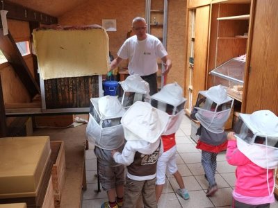 Sentier thématique : Le sentier de découverte de la forêt